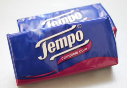 tempo02.jpg